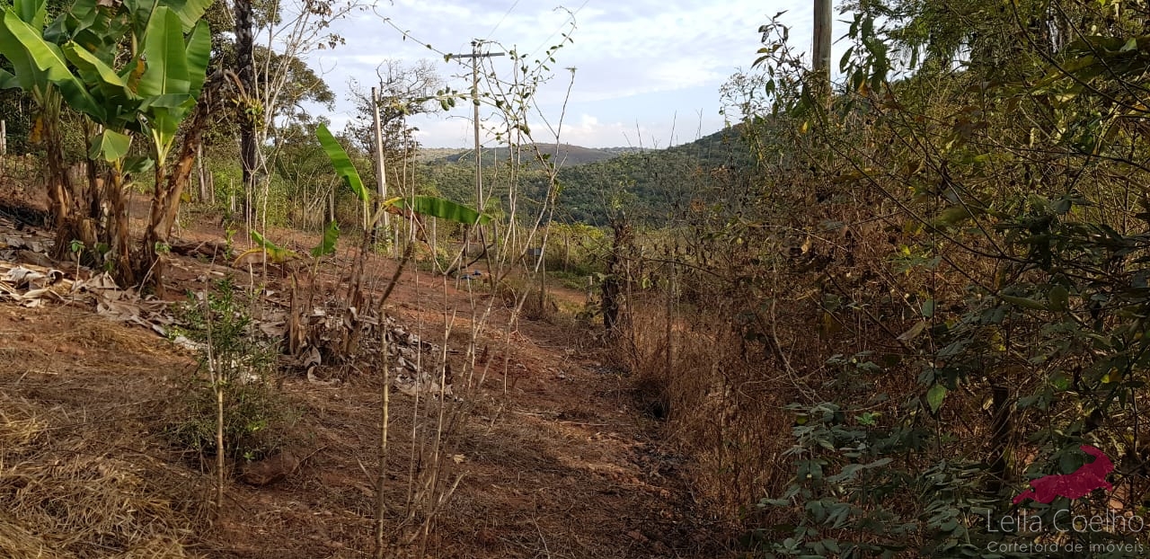 Fazenda à venda com 2 quartos, 80m² - Foto 4