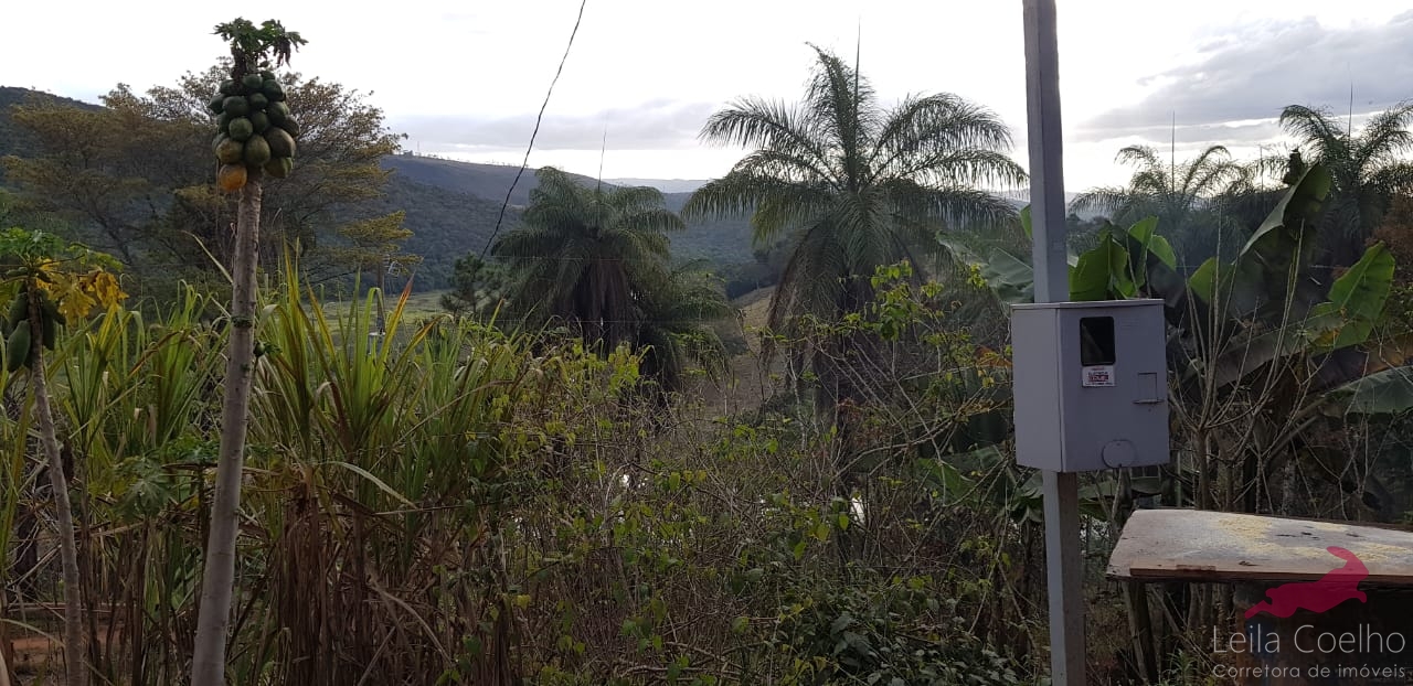 Fazenda à venda com 2 quartos, 80m² - Foto 5