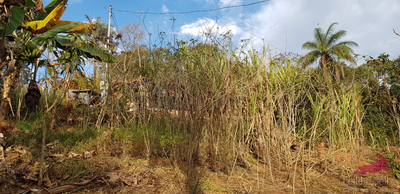 Fazenda à venda com 2 quartos, 80m² - Foto 3