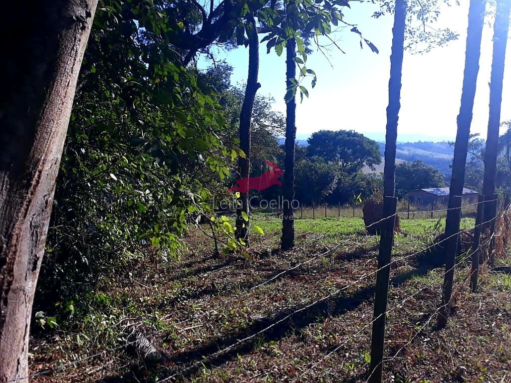 Terreno à venda, 1000m² - Foto 3