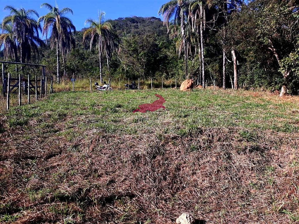 Terreno à venda, 1000m² - Foto 4