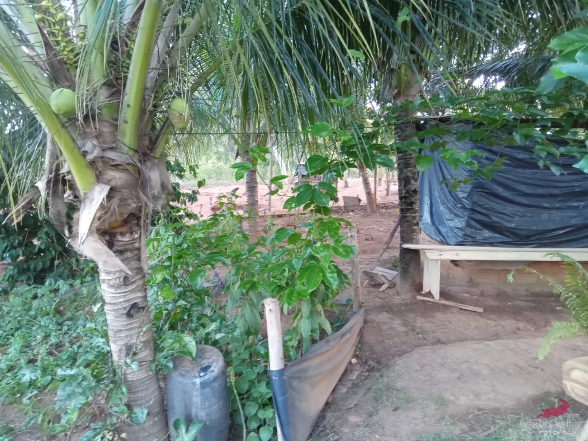 Fazenda à venda com 3 quartos, 100m² - Foto 5