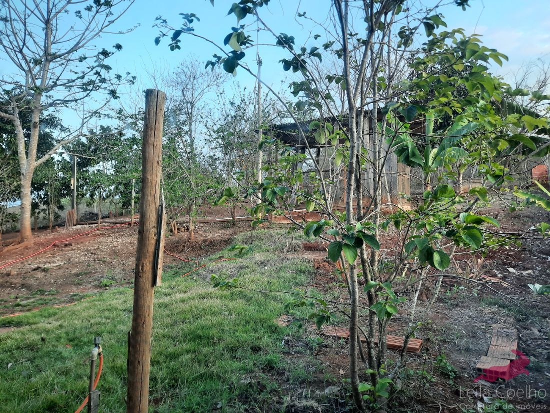 Fazenda à venda com 3 quartos, 100m² - Foto 35