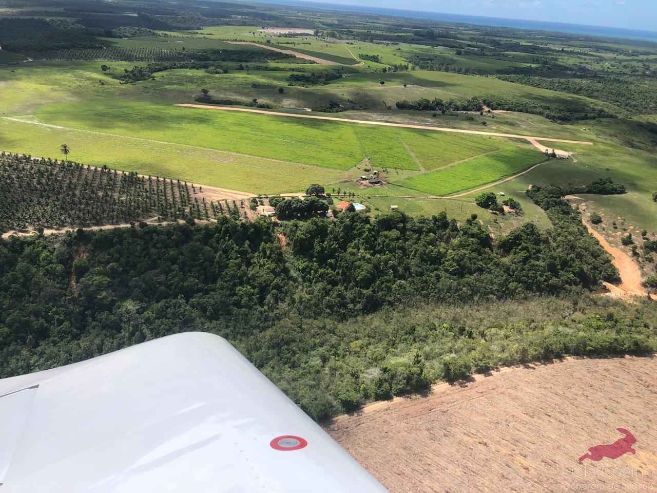 Fazenda à venda com 5 quartos, 600m² - Foto 9