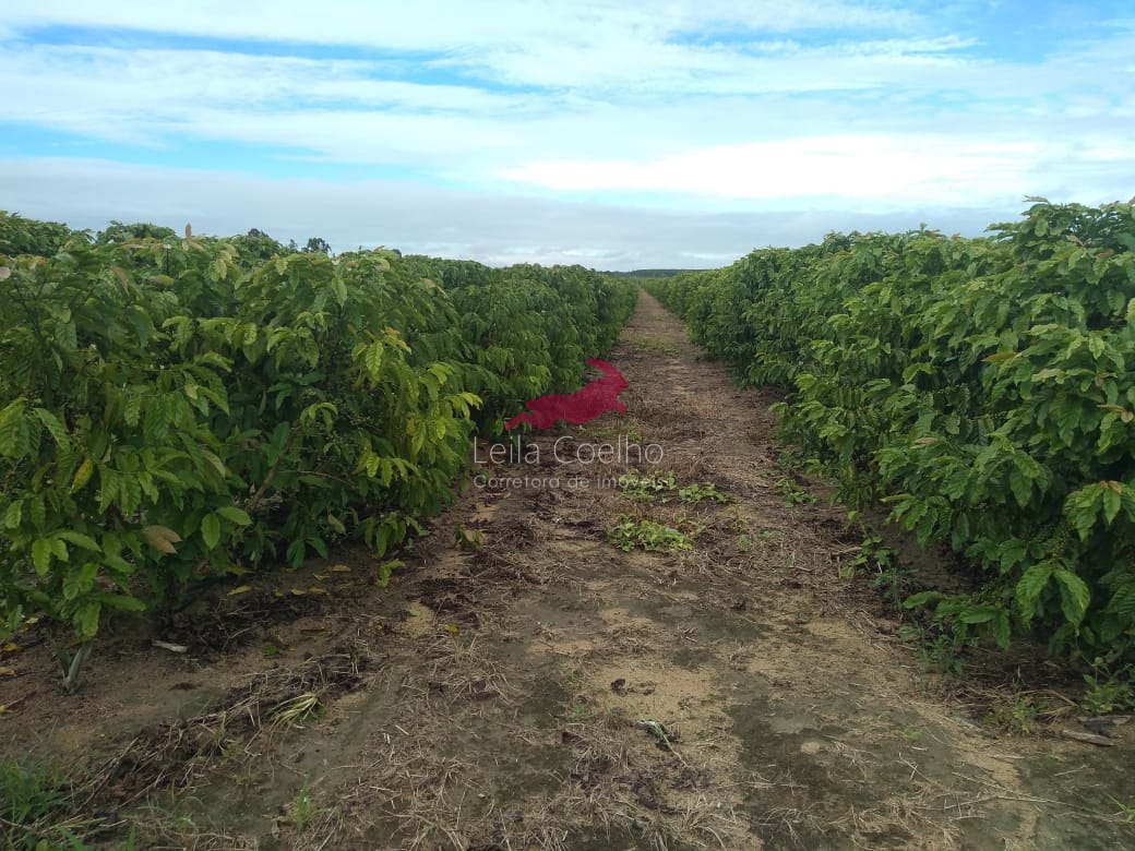 Fazenda à venda com 5 quartos, 600m² - Foto 4