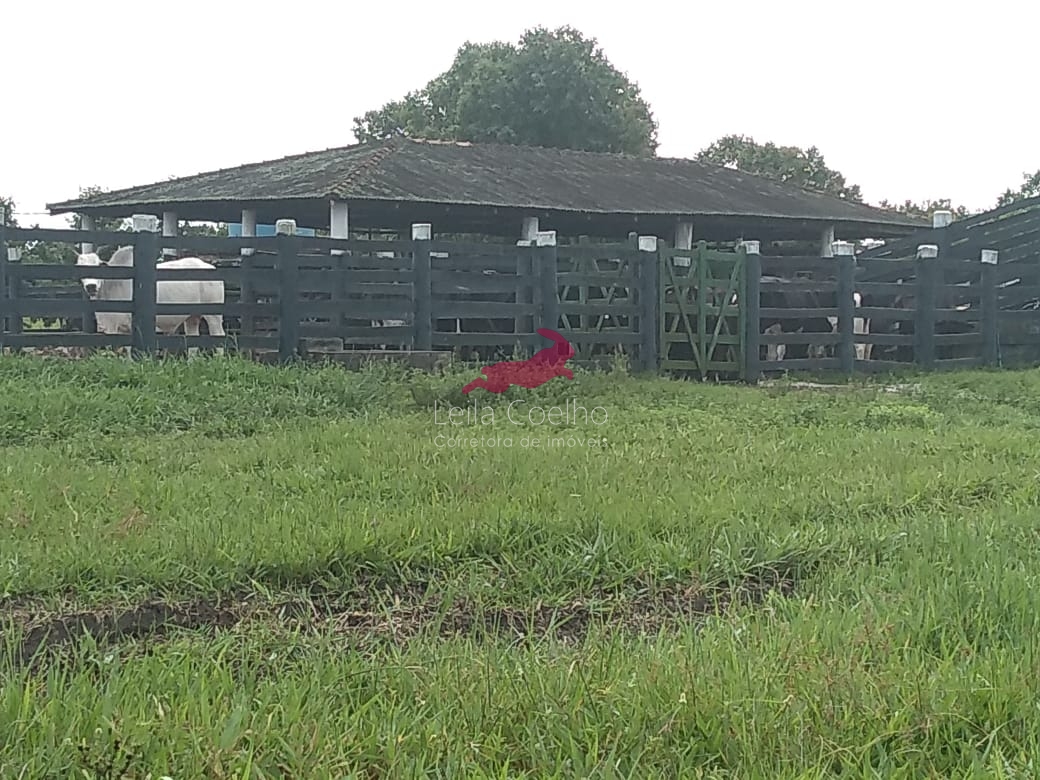 Fazenda à venda com 5 quartos, 600m² - Foto 6