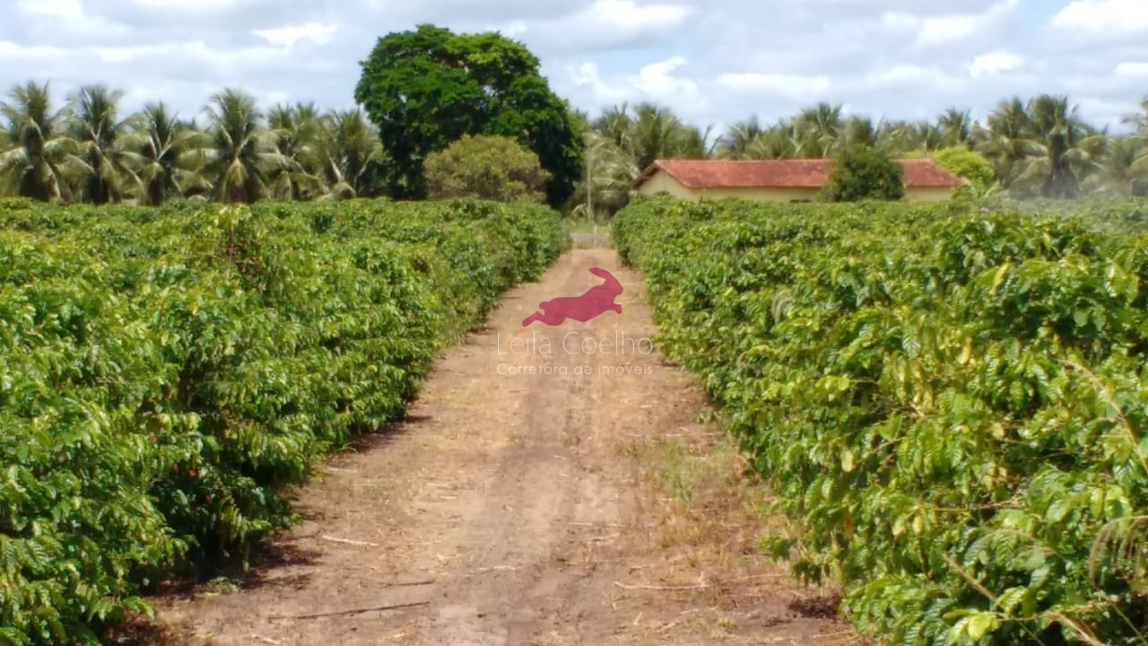 Fazenda à venda com 5 quartos, 600m² - Foto 5